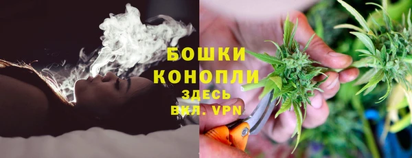 дурь Сосновоборск