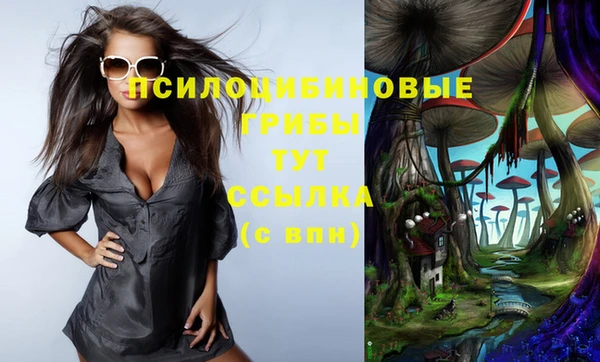 a pvp Сосновый Бор