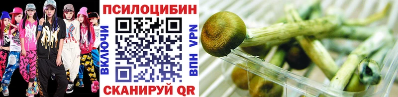 Галлюциногенные грибы Cubensis  Тайга 